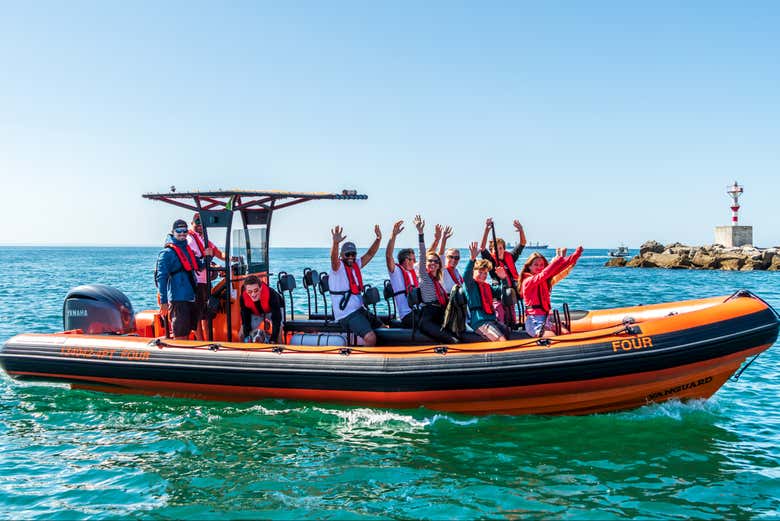Dolphin Watching in Cascais
