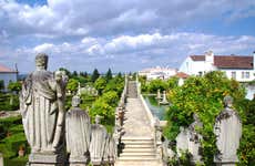 Castelo Branco Museums Tour