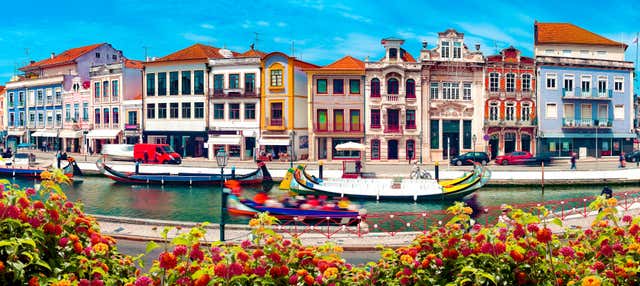 Escursione ad Aveiro e Costa Nova