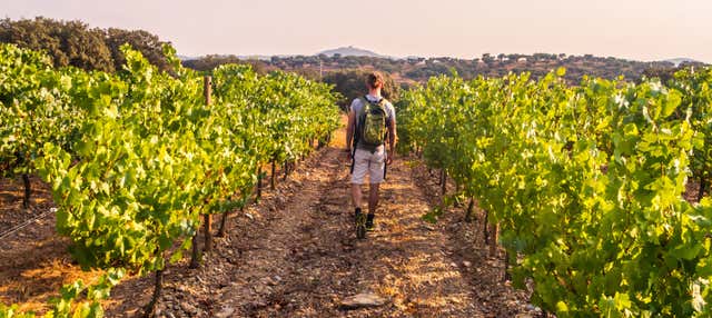 Escursione nella regione della Bairrada