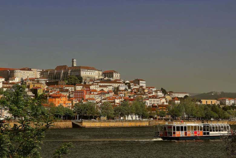Imagen 8
