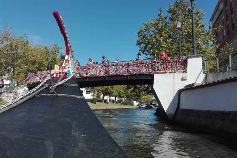 Imagen 6
