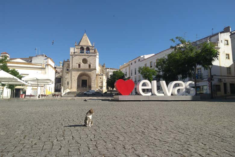Ver más fotos