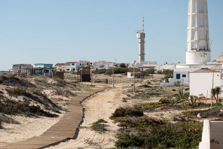 Imagen 8