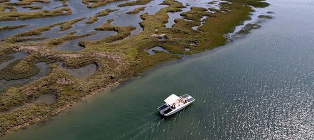 Tour di Ria Formosa su una barca ecologica