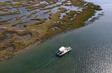 Ria Formosa Eco Boat Trip