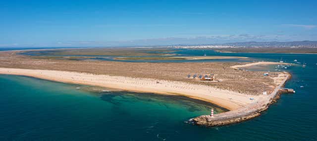 Giro in motoscafo a Ilha Deserta