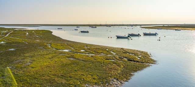 Tour di Ria Formosa in motoscafo