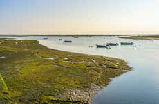 Ria Formosa Speed Boat Tour