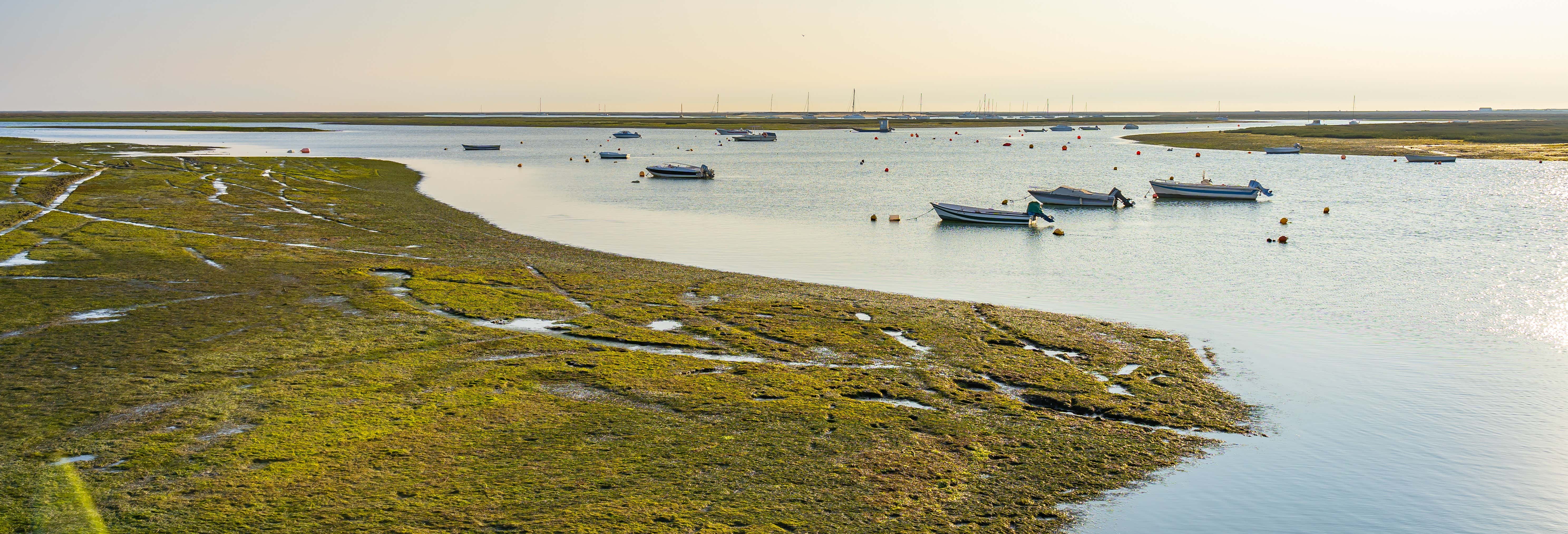Ria Formosa Speed Boat Tour