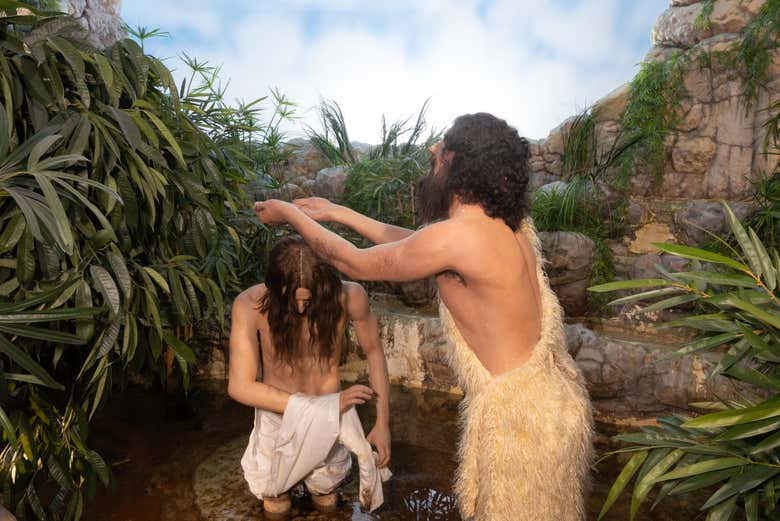 Imagen 7