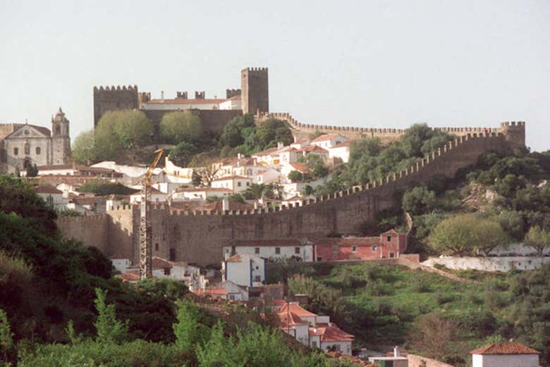 Imagen 7