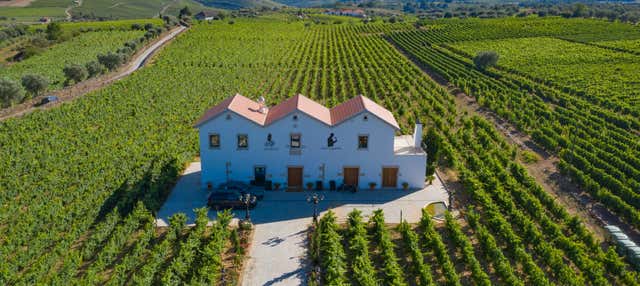 Visita a la bodega Quinta da Avessada