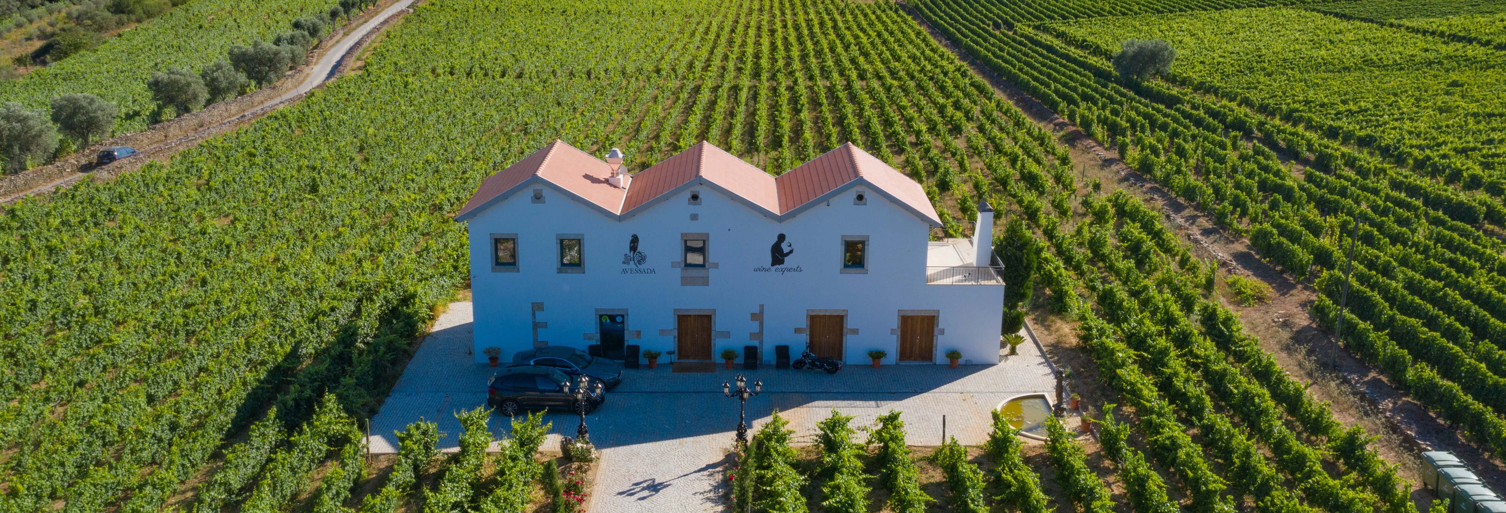 Visita a la bodega Quinta da Avessada