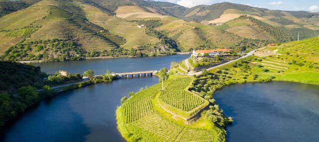 Visita alla cantina Quinta do Tedo