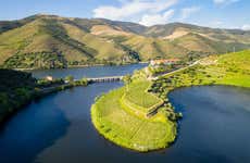 Quinta do Tedo Winery Tour