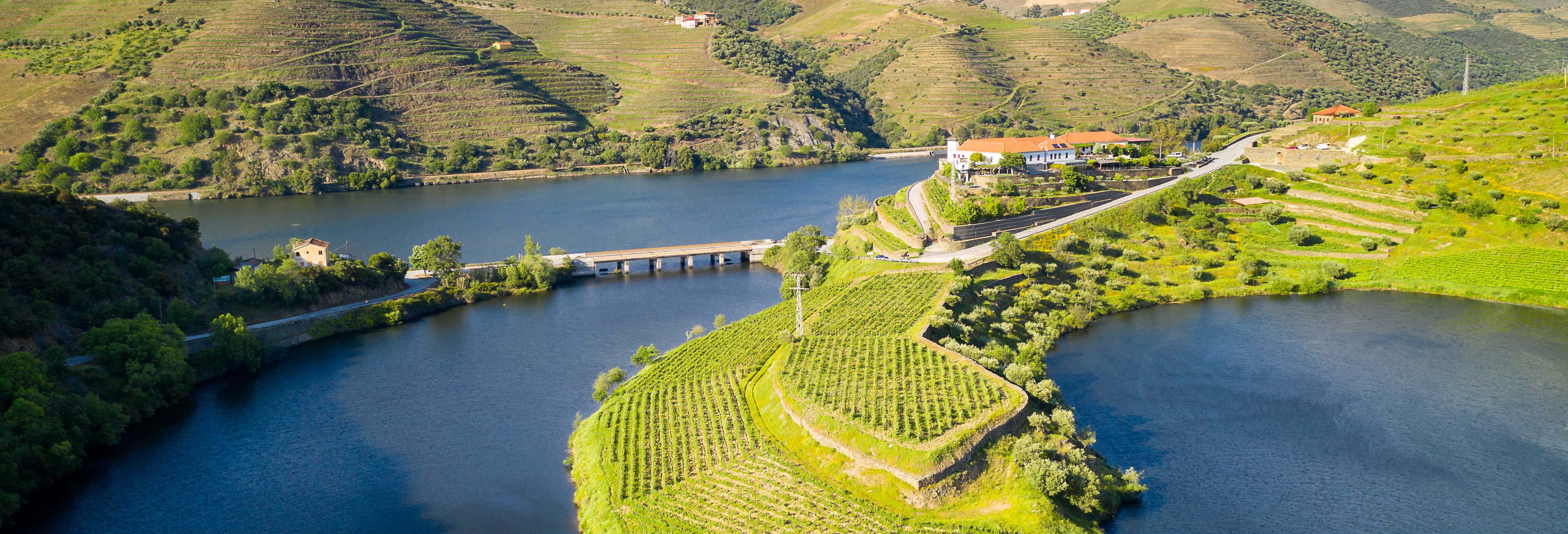 Quinta do Tedo Winery Tour