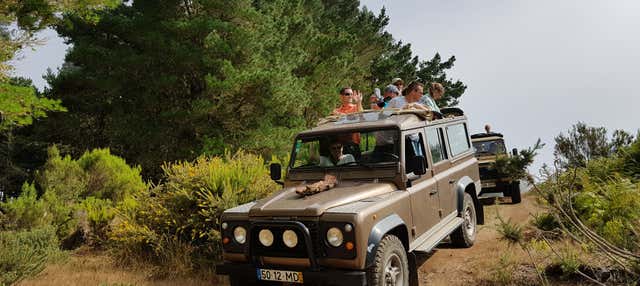 Avvistamento di cetacei + Tour in fuoristrada