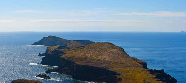 Escursione a Deserta Grande in goletta con snorkeling