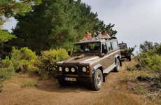 Off-Road Tour of Santana, Pico del Aieiro, & Punta de São Lourenço