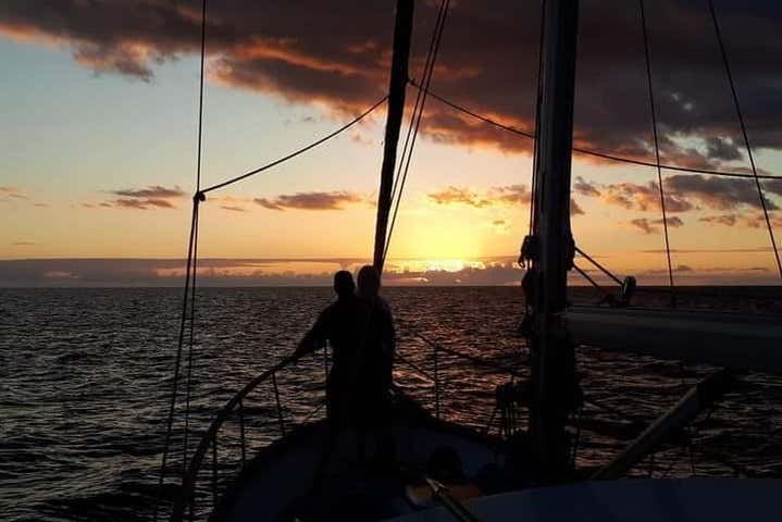 Imagen 7