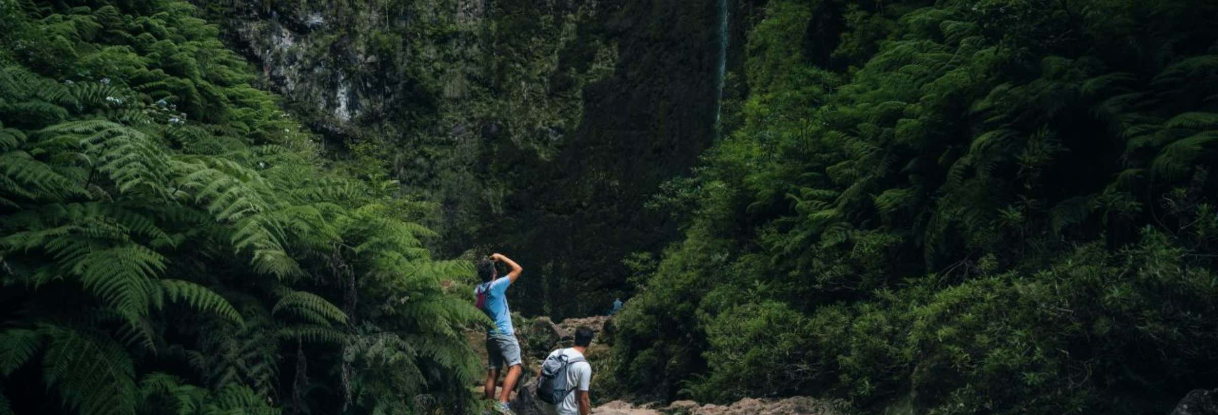 Senderismo por Levada do Caldeirão Verde por libre