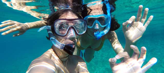 Snorkeling a Funchal