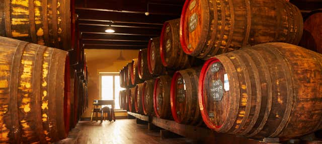 Visita alla cantina HM Borges