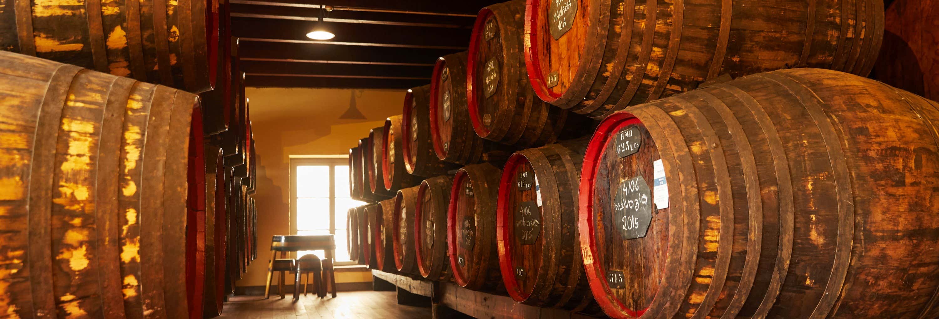 Visita alla cantina HM Borges