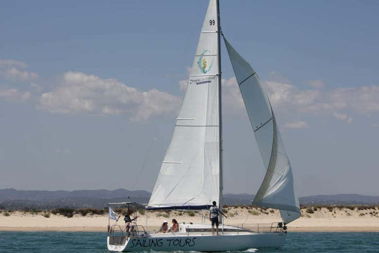 Imagen 7