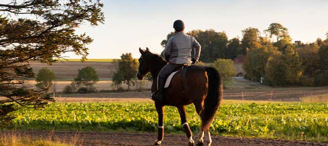 Passeggiata a cavallo a Guarda