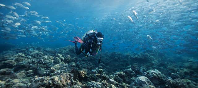 Immersione per principianti all'isola di Faial