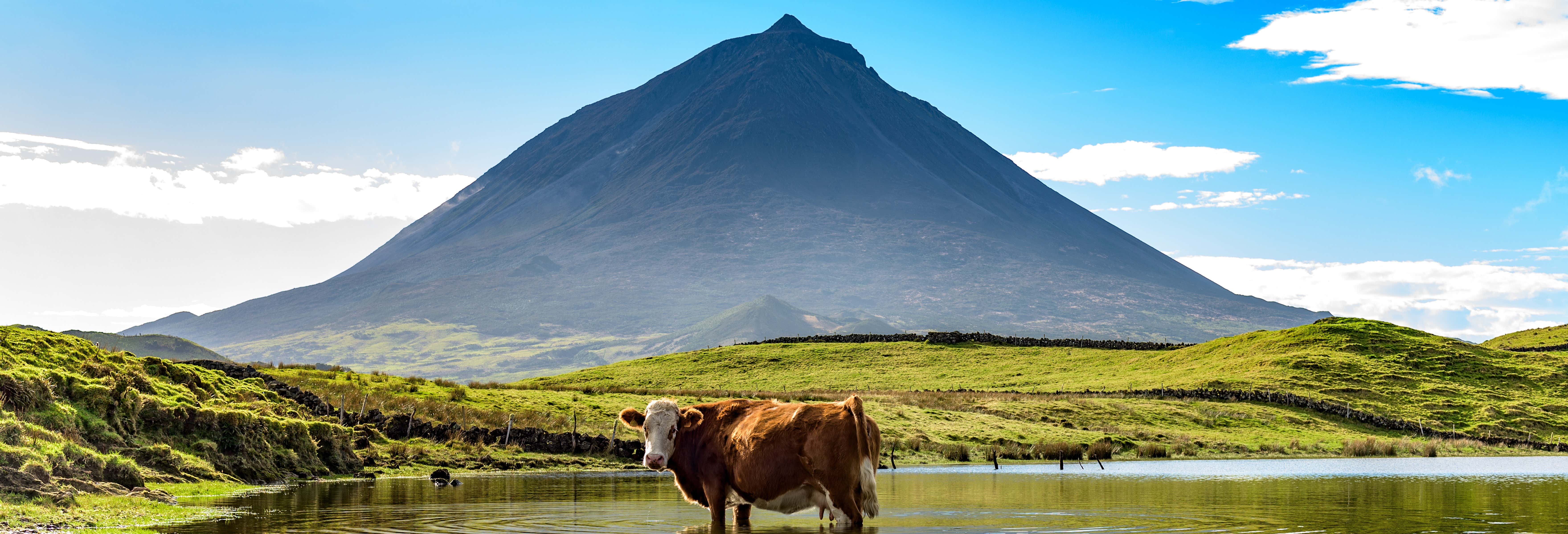 Pico Island Day Trip