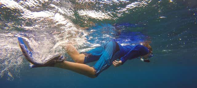 Snorkeling all'isola di Faial