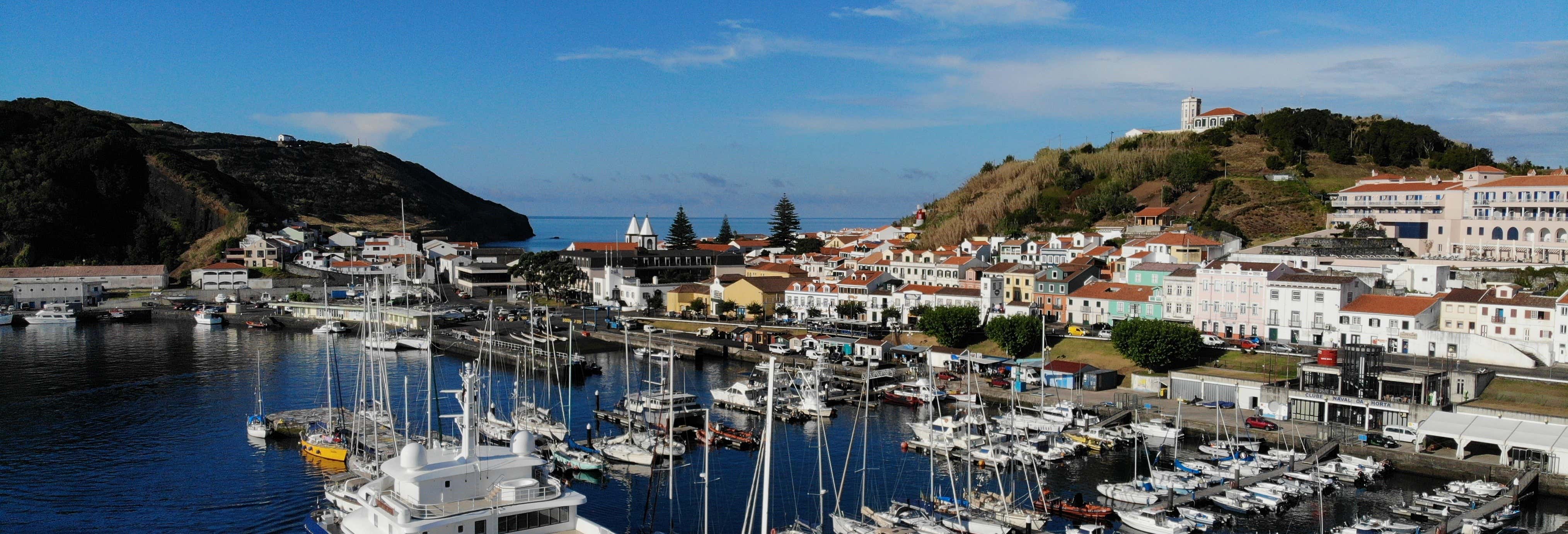 Faial Island Half Day Tour