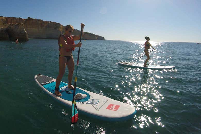 Imagen 5