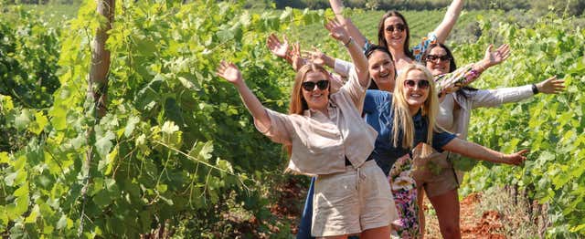 Visita a un viñedo del Algarve con cata de vinos y tapas