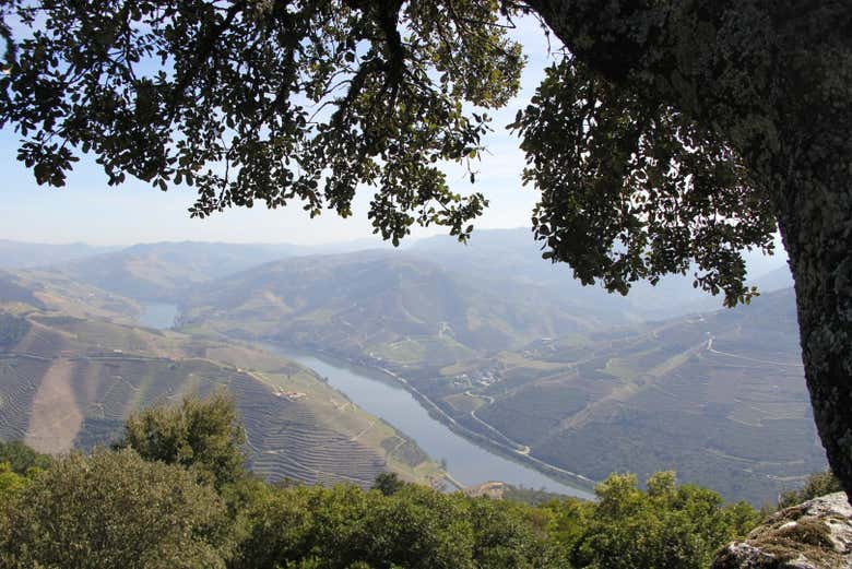 Duero Valley Tour