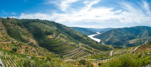 Tour della valle del Douro con degustazione di vino + Giro in barca