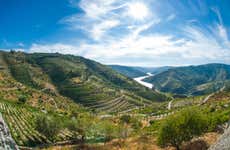 Duero Valley Tour