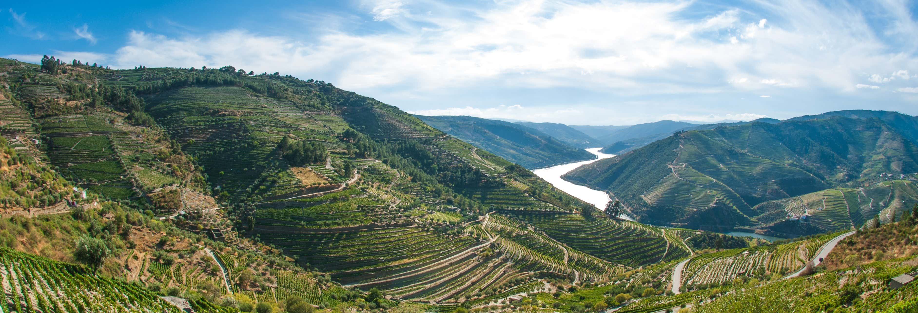 Duero Valley Tour