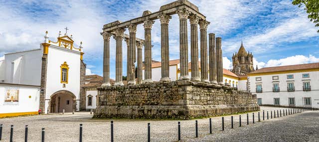 Sightseeing Tours From Lisbon with Private Chauffeur