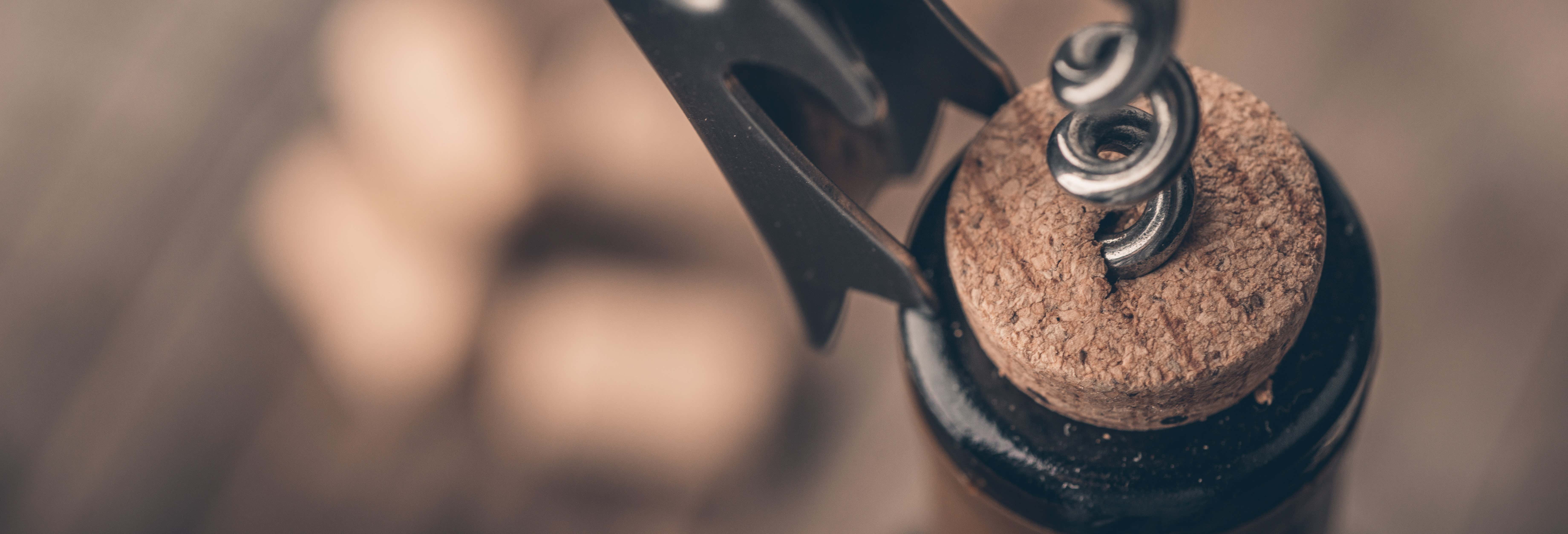 Degustazione di vino a Taylor’s Port