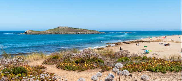 Escursione alla Costa Vicentina e al Alentejo