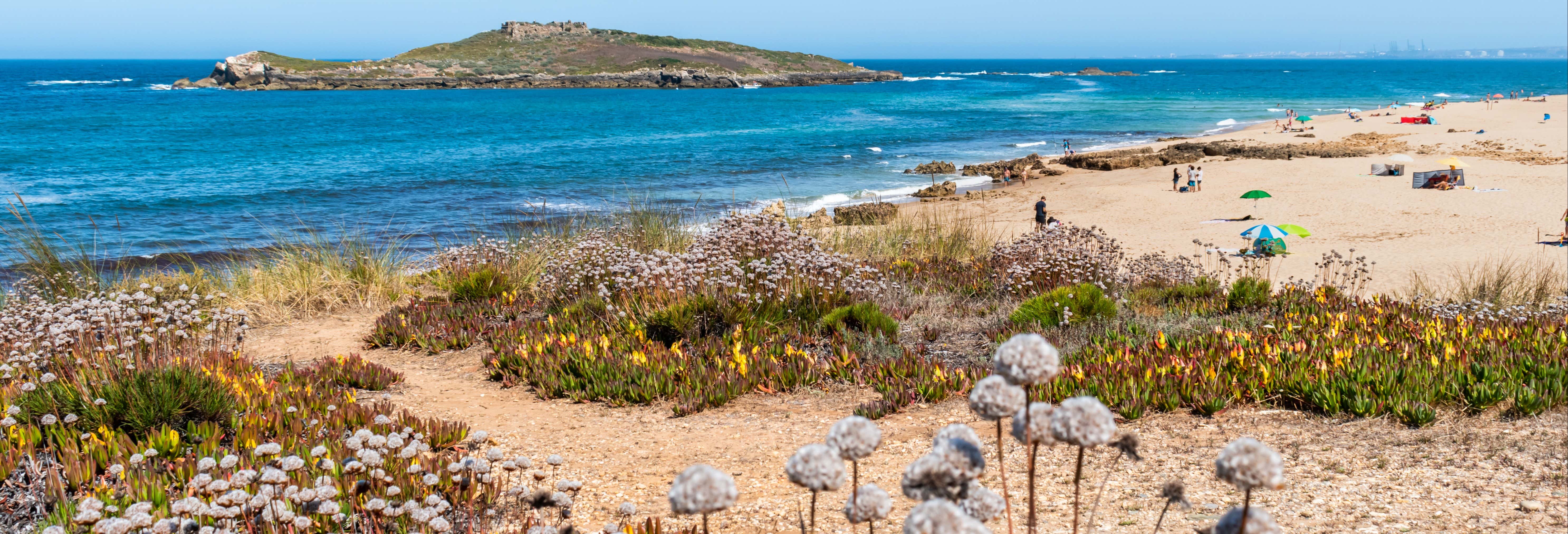Escursione alla Costa Vicentina e al Alentejo