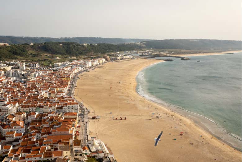 Porto, Nazaré & Óbidos Tour