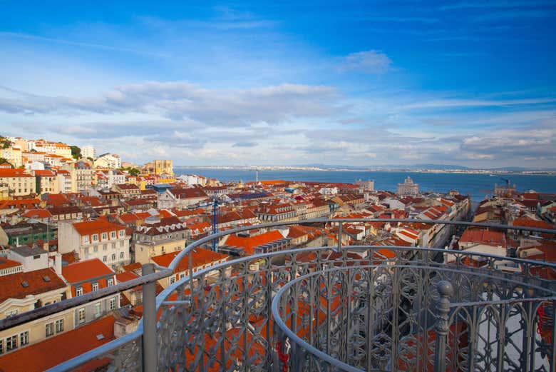 Imagen 8