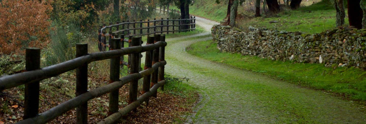 Macedo de Cavaleiros