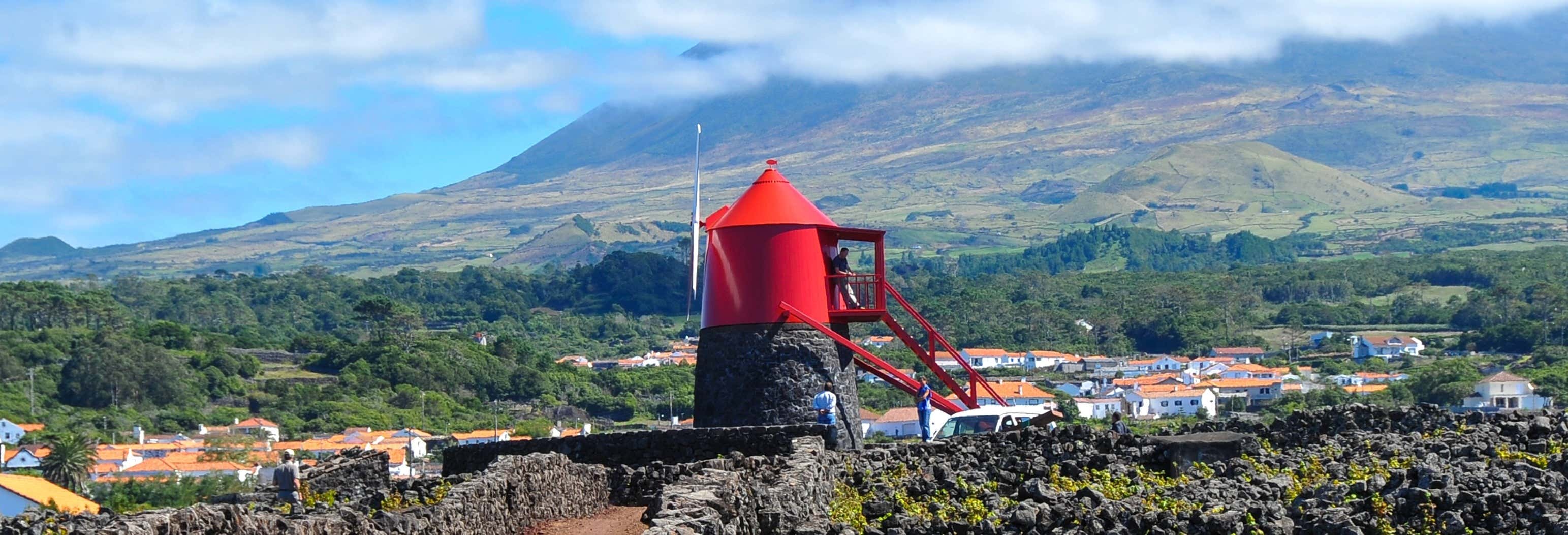 Pico Island Wine Tour