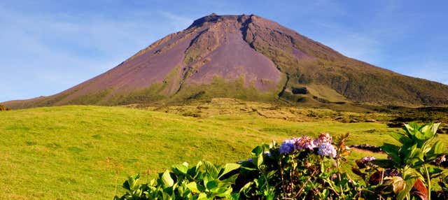 Tour dei vulcani e dei laghi di Pico